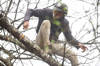 CÂY ĐÀO KHÓC GIỮA MÙA XUÂN - thơ Anh Xuân